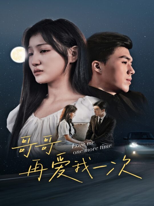 11546-哥哥再爱我一次(29集)