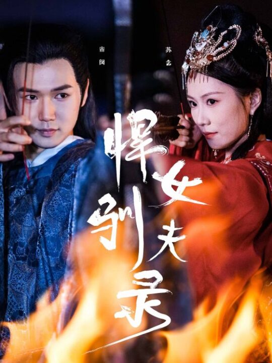 12047-悍女驯夫录(36集)