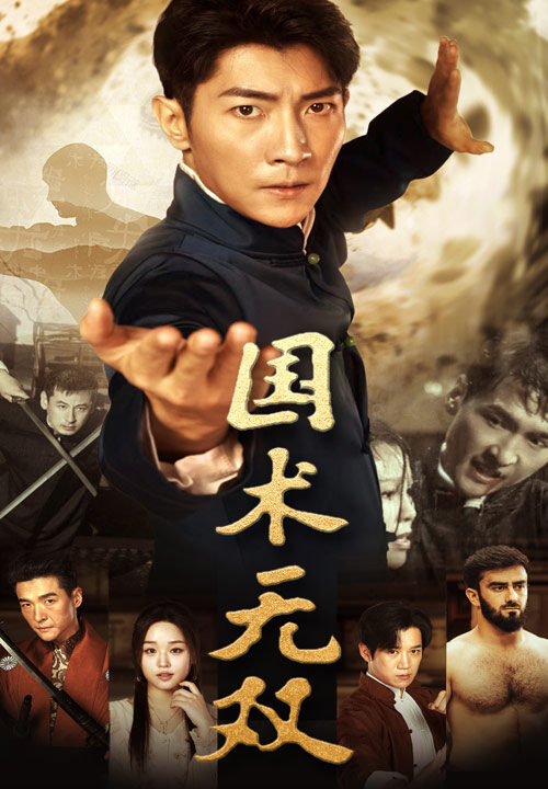 11851-国术无双(74集)