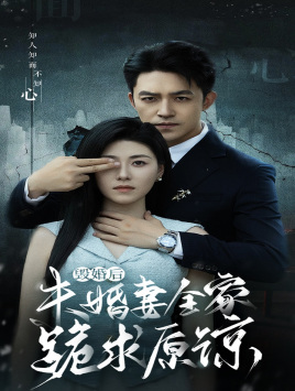 12347-毁婚后未婚妻全家跪求原谅(30集)诸玲颖