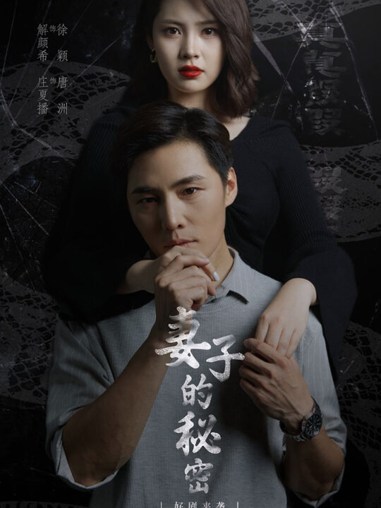 11655-妻子不能说的秘密&妻子的秘密(30集)