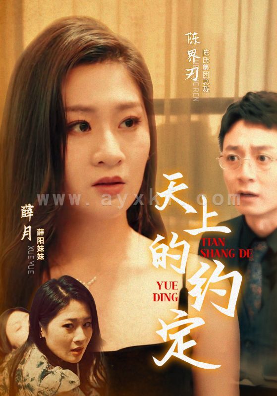 11703-天上的约定(24集) 最新 图1张