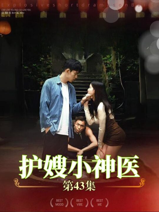 11733-护嫂小神医(43集)