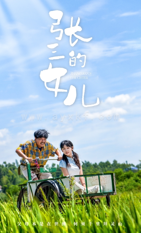 11849-张三的女儿(70集)王洁 最新 图1张