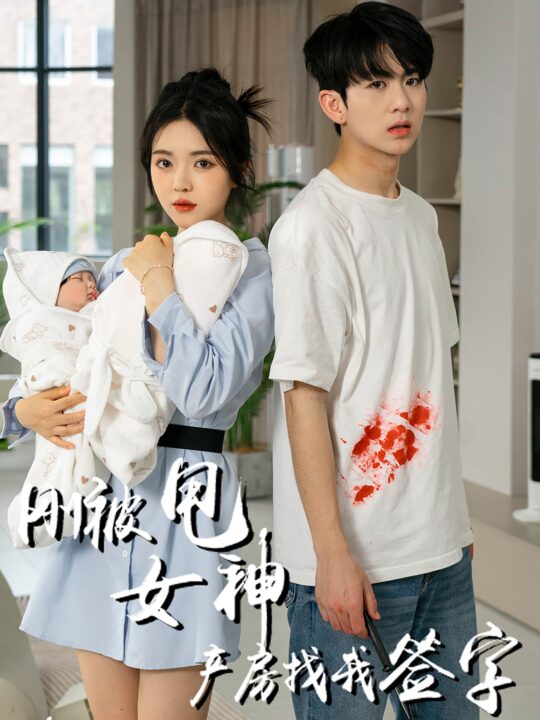 11545-刚被甩女神产房找我签字(30集)