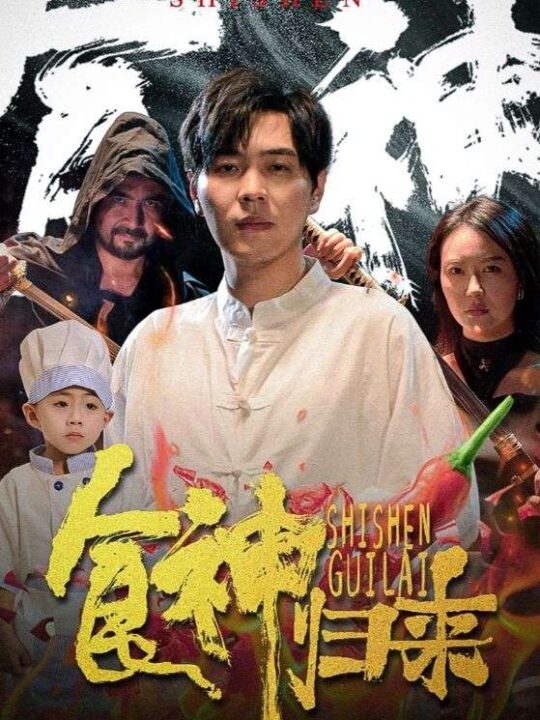 11915-食神归来(69集)