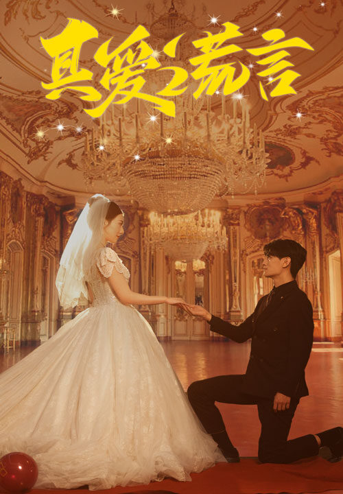 11941-真爱谎言(35集)