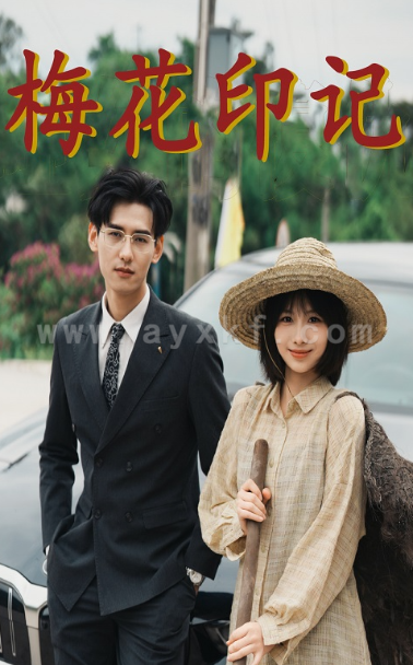 12249-梅花印记(48集)