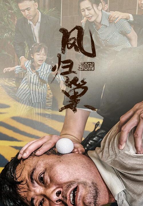 11539-新版-凤归巢(68集)