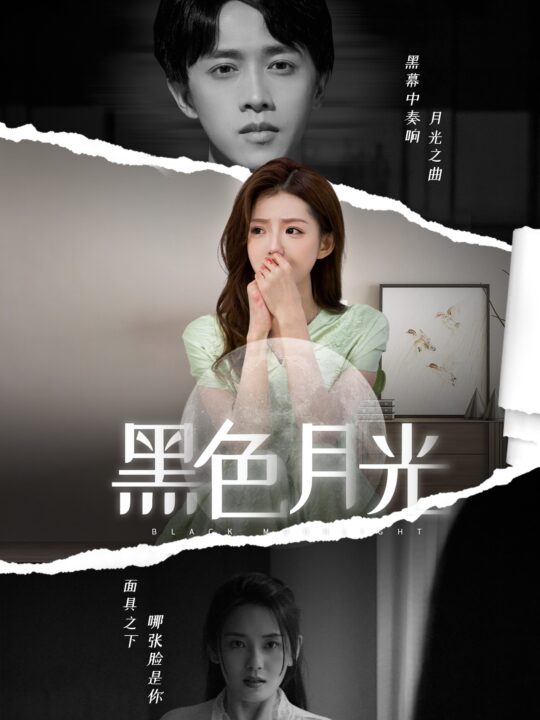 11909-黑色月光(77集)