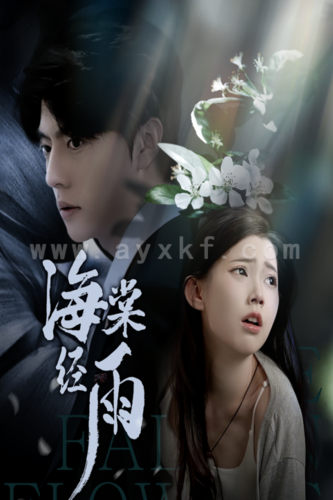 12407-海棠经雨(95集)