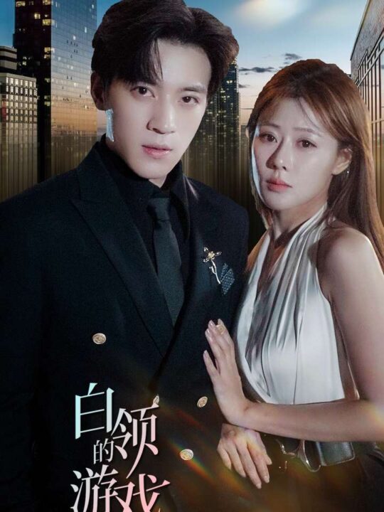 11925-白领的游戏(75集)武鸿蕊