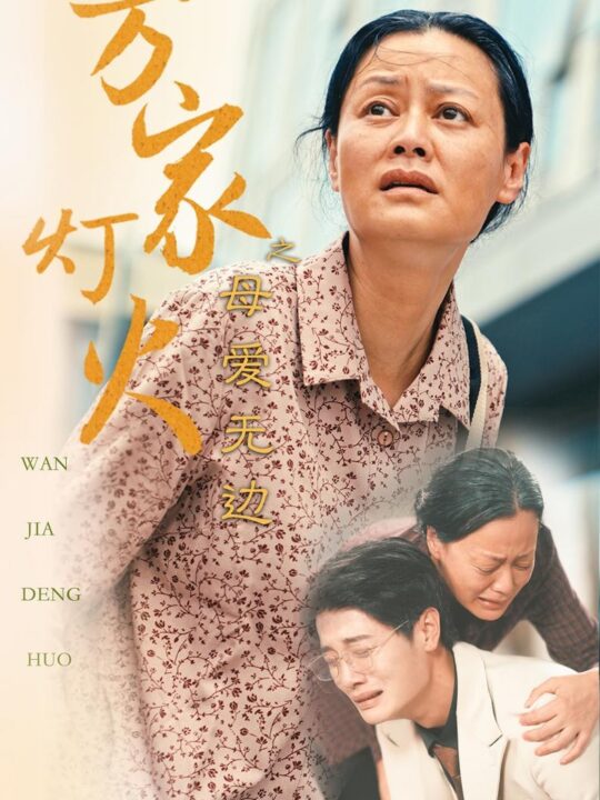 11854-万家灯火之母爱无边(40集)