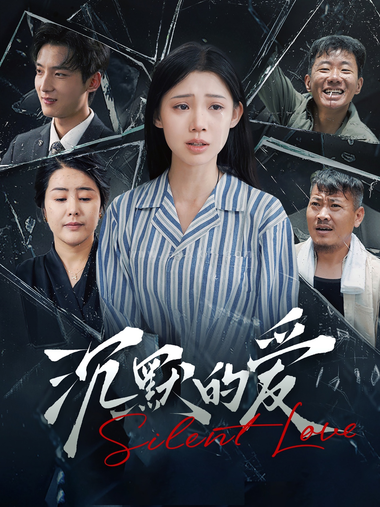 11752-沉默的爱(100集) 最新 图1张