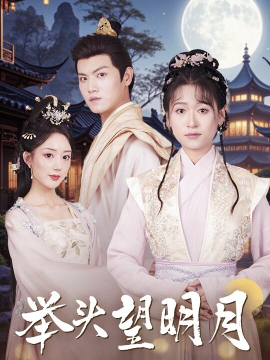 12187-举头望明月(73集)王宇峰