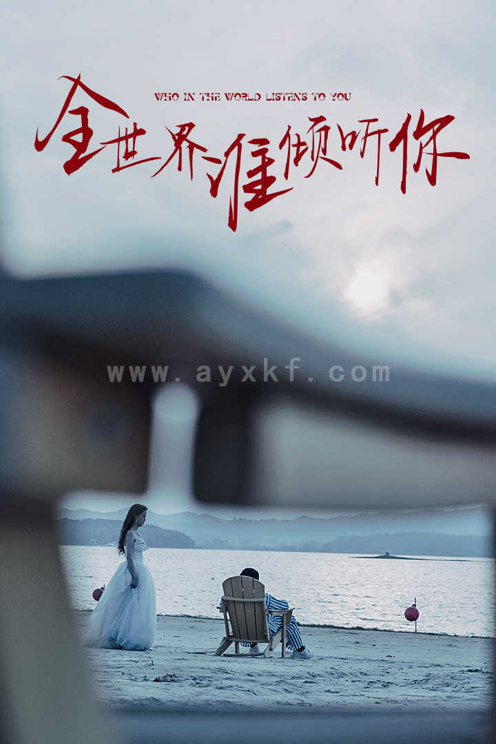 11853-全世界谁倾听你(30集) 最新 图1张