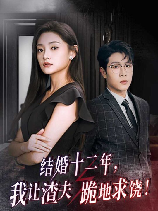12303-结婚十二年-我让渣夫跪地求饶(39集)