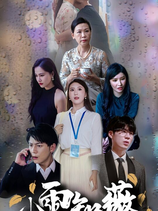 11282-小雨知薇(80集)