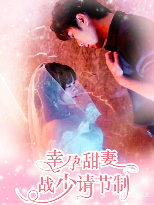 11242-幸孕甜妻战少请节制(80集)