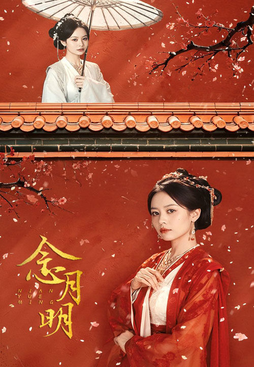 10830-念月明(75集)