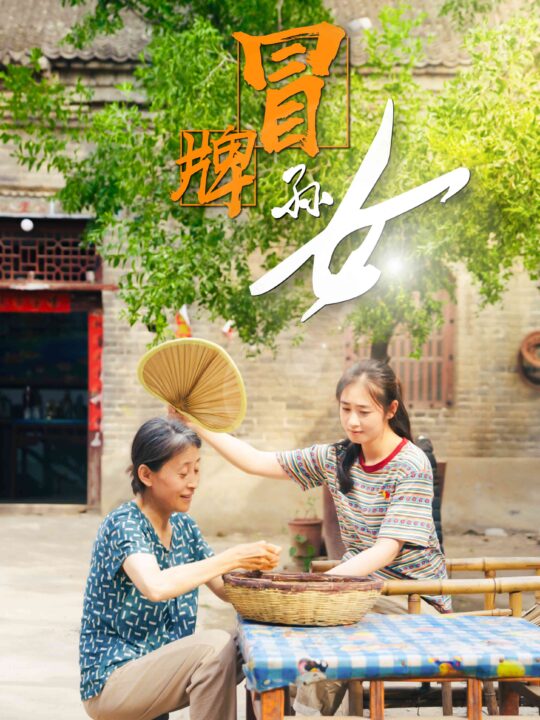 11208-冒牌孙女(74集)