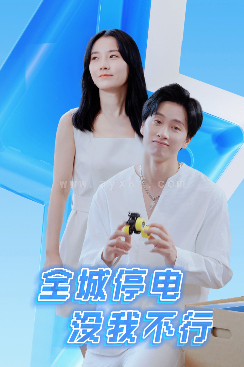 11114-全城停电没我不行(33集) 最新 图1张