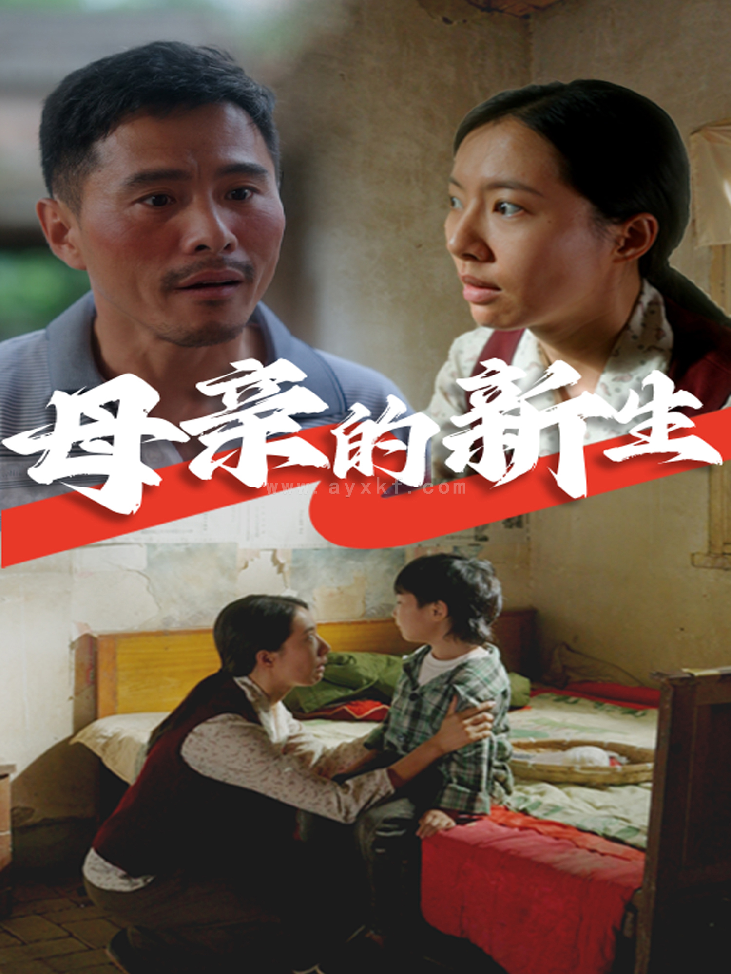 11353-母亲的新生(30集) 最新 图1张