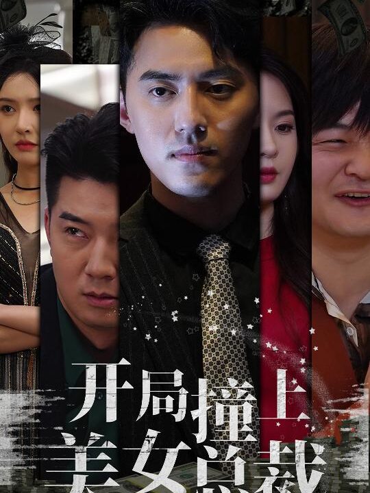 11363-开局撞上美女总裁(95集)