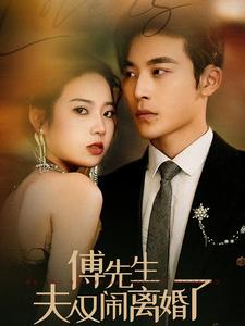 11237-傅先生夫人又闹离婚了(80集)李艺璇