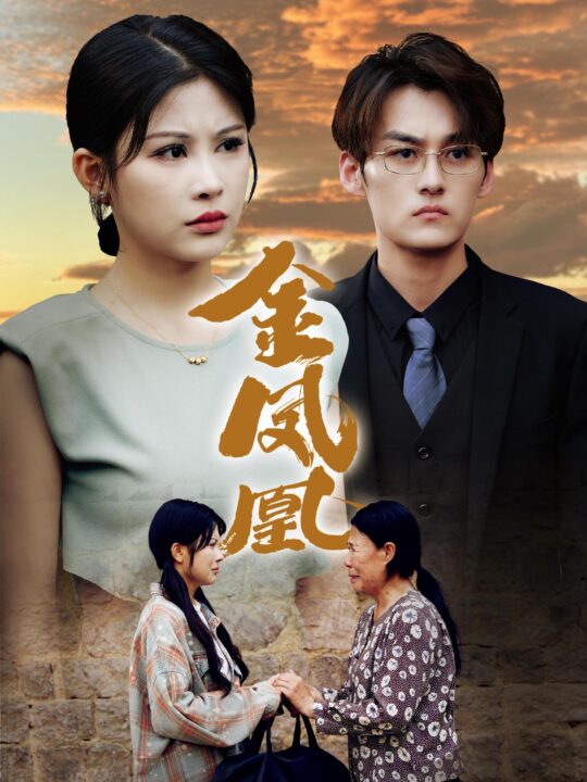 10996-金凤凰(80集)邹漪琳