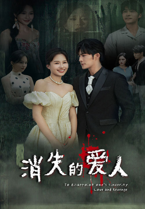 11306-消失的爱人(74集)