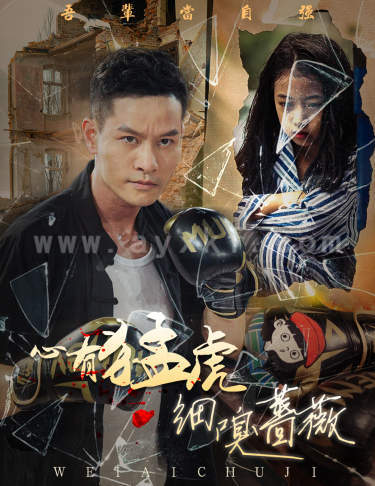 11217-心有猛虎细嗅蔷薇(65集) 最新 图1张