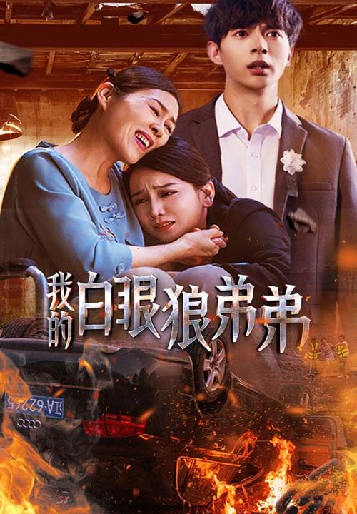 11389-我的白眼狼弟弟(69集)