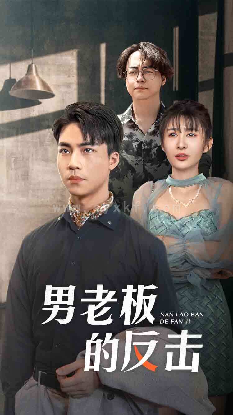 11333-男老板的反击(18集) 最新 图1张