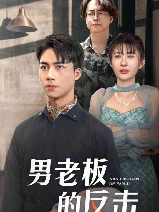 11333-男老板的反击(18集)