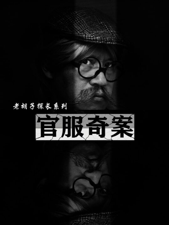 11220-官服奇案(30集)