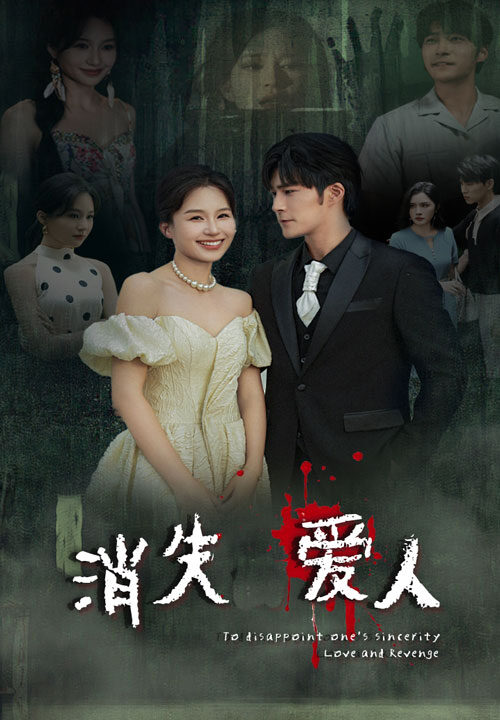 10772-消失爱人(74集)