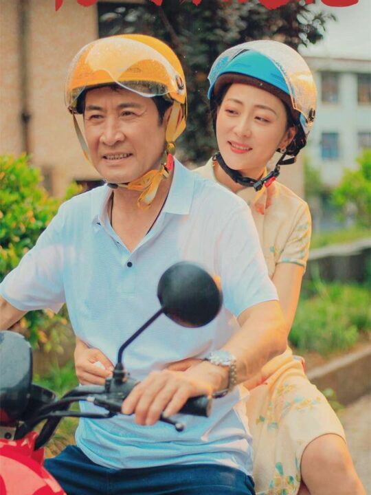 10730-新夕阳玫瑰(62集)