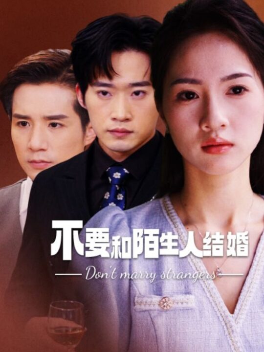 11234-不要和陌生人结婚(90集)