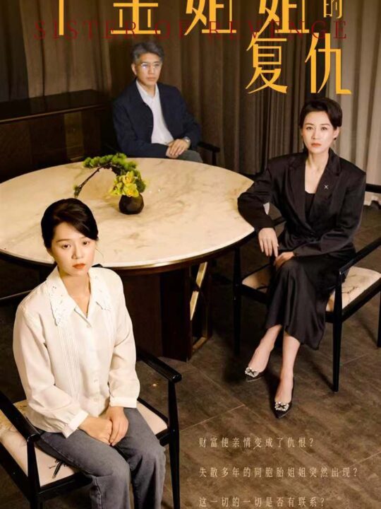 11190-千金姐姐的复仇(79集)