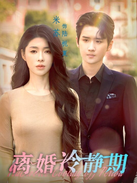 11413-离婚冷静期(29集)