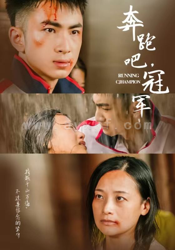 10775-奔跑吧冠军(60集) 最新 图1张