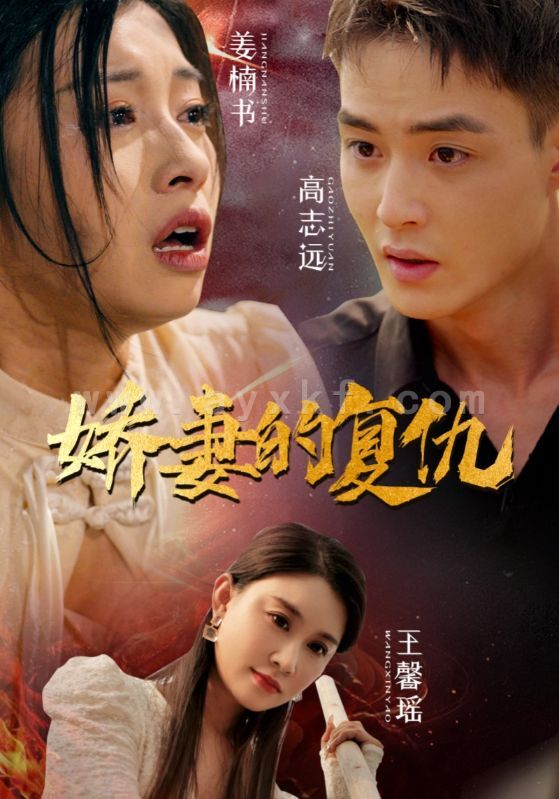 11147-娇妻的复仇(30集) 最新 图1张