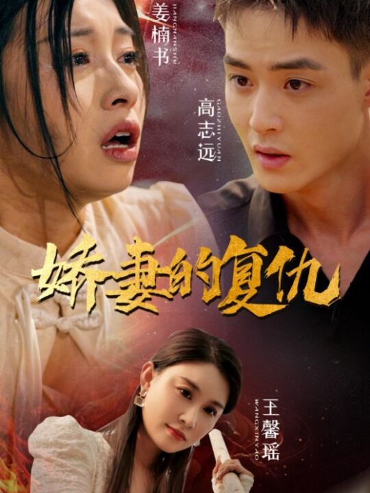 11147-娇妻的复仇(30集)