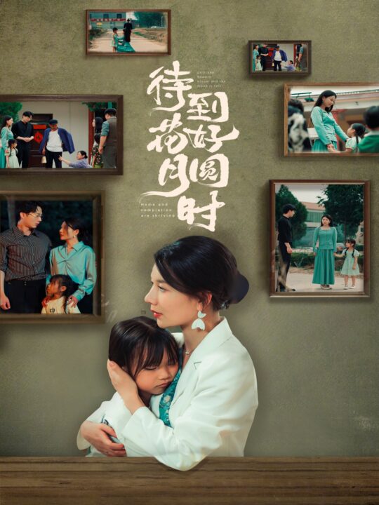 11173-待到花好月圆时(30集)