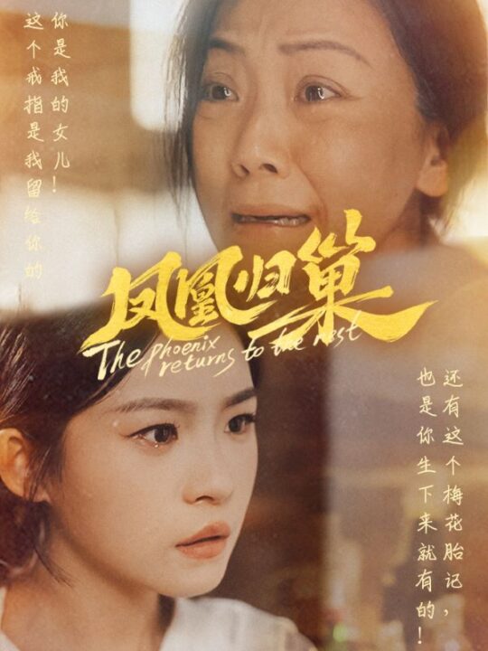 11269-凤凰归巢(69集)