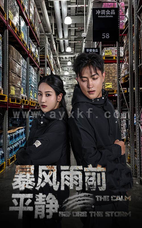 10916-暴风雨前的平静(30集) 最新 图1张