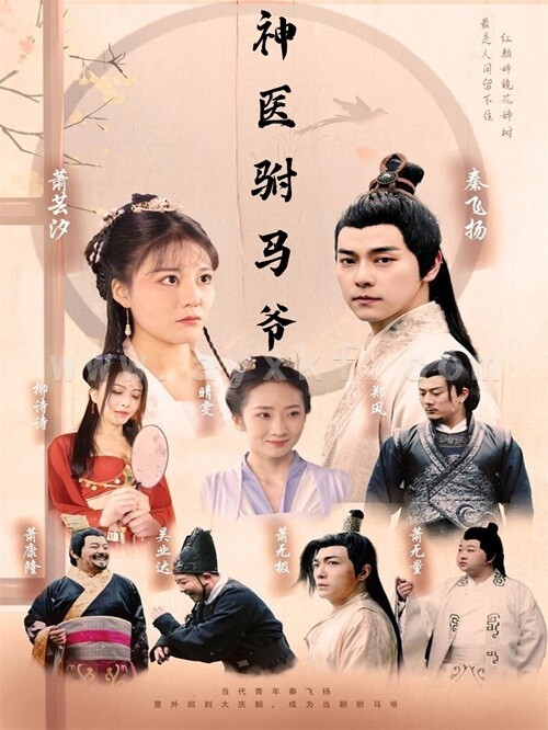 10978-神医驸马爷(80集)穿越剧