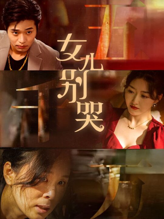 10740-女儿别哭(35集)