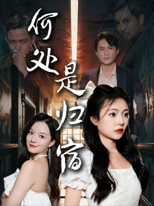 11376-何处是归宿(60集)